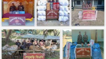 নাইক্ষ্যংছড়ি সীমান্তে প্রায় ১১ লক্ষ টাকার গরু ও মালামাল জব্দ