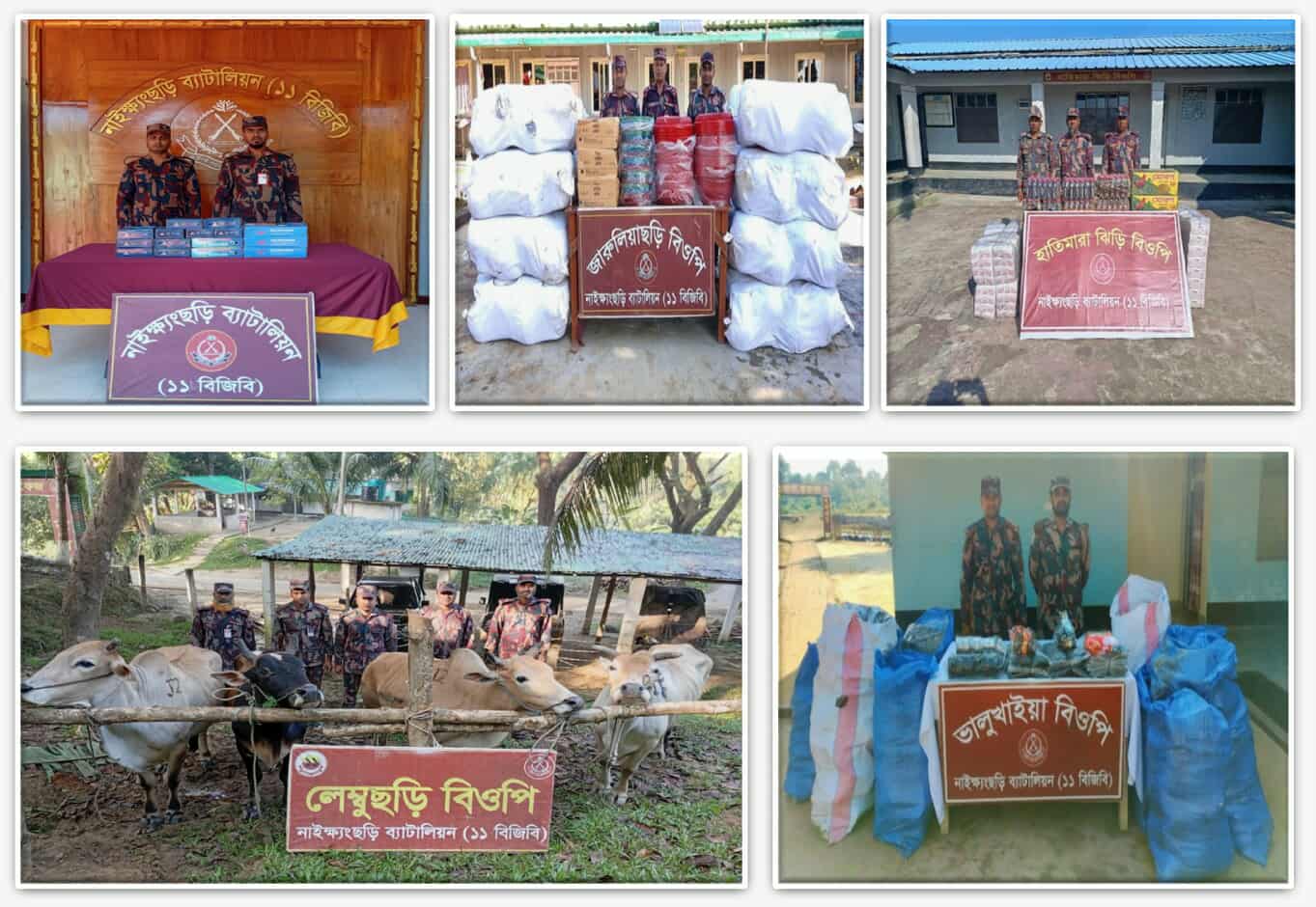 নাইক্ষ্যংছড়ি সীমান্তে প্রায় ১১ লক্ষ টাকার গরু ও মালামাল জব্দ